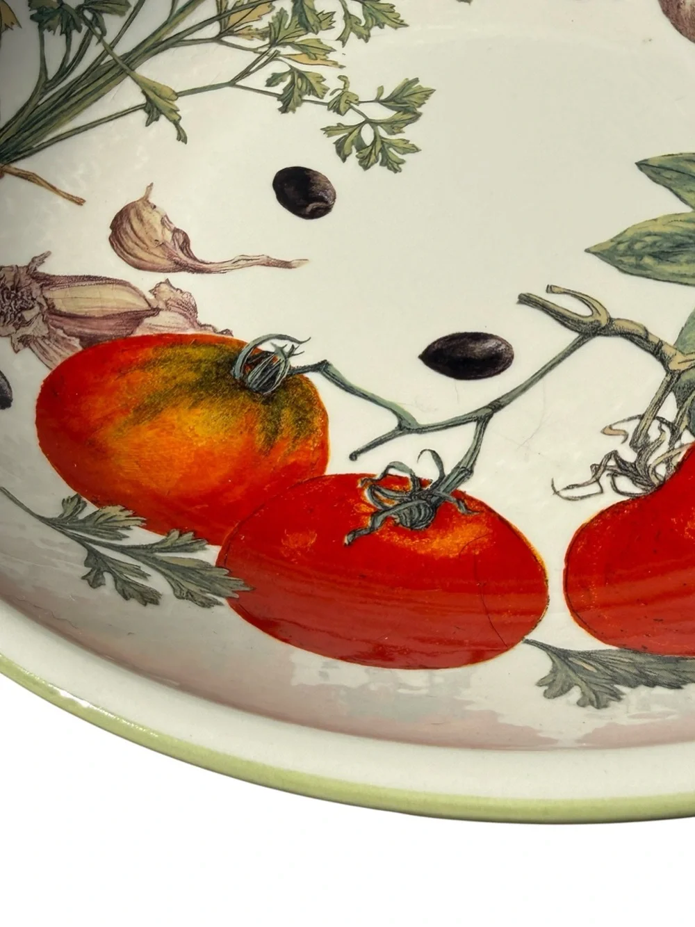 Williams Sonoma Vegetable Herbs 13” Pasta Serving Bowl Portugal Rare European